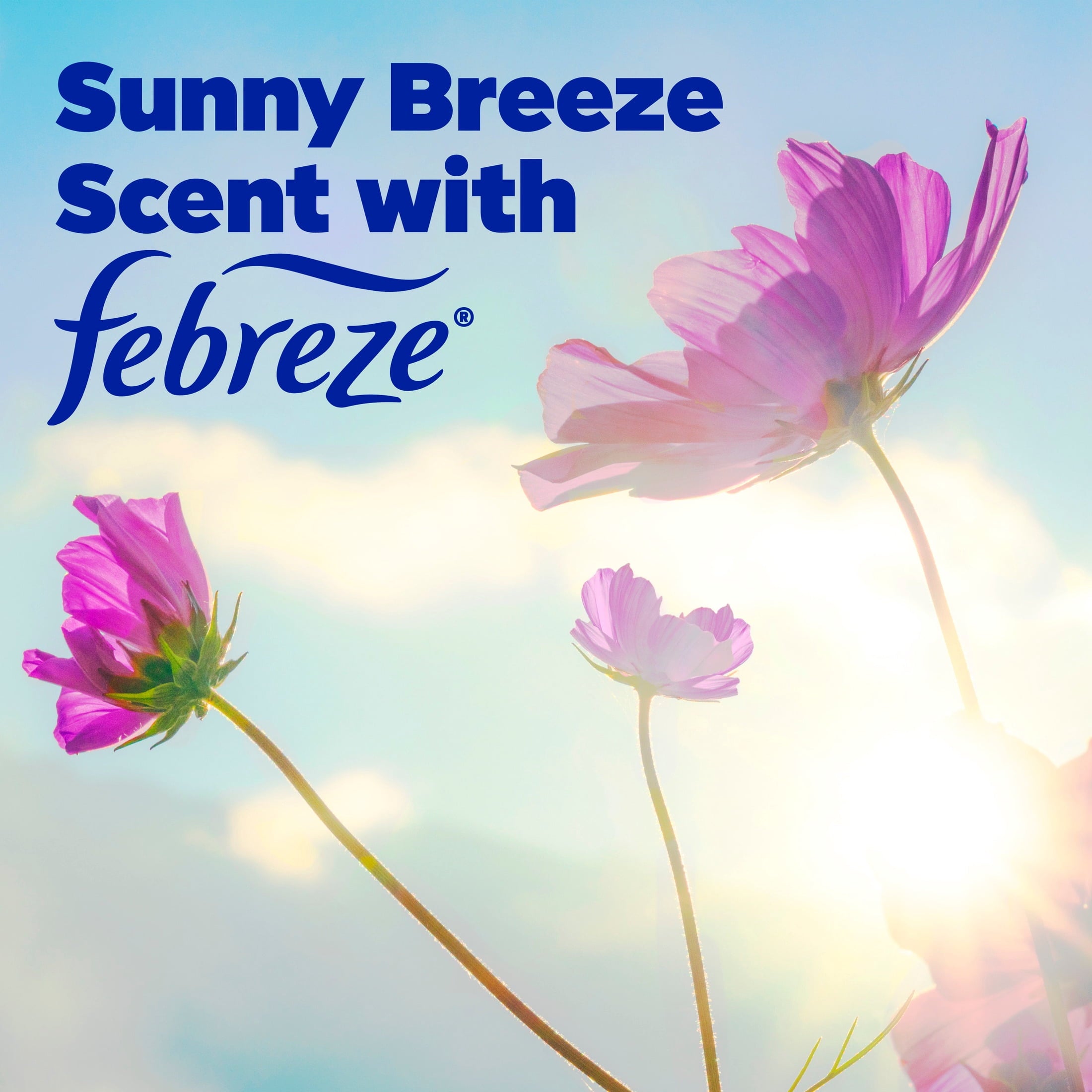 Tide Simply Laundry Detergent Liquid, Oxi Boost + Febreze Odor Defense, Sunny Breeze Scent, 129 fl oz, 96 Loads