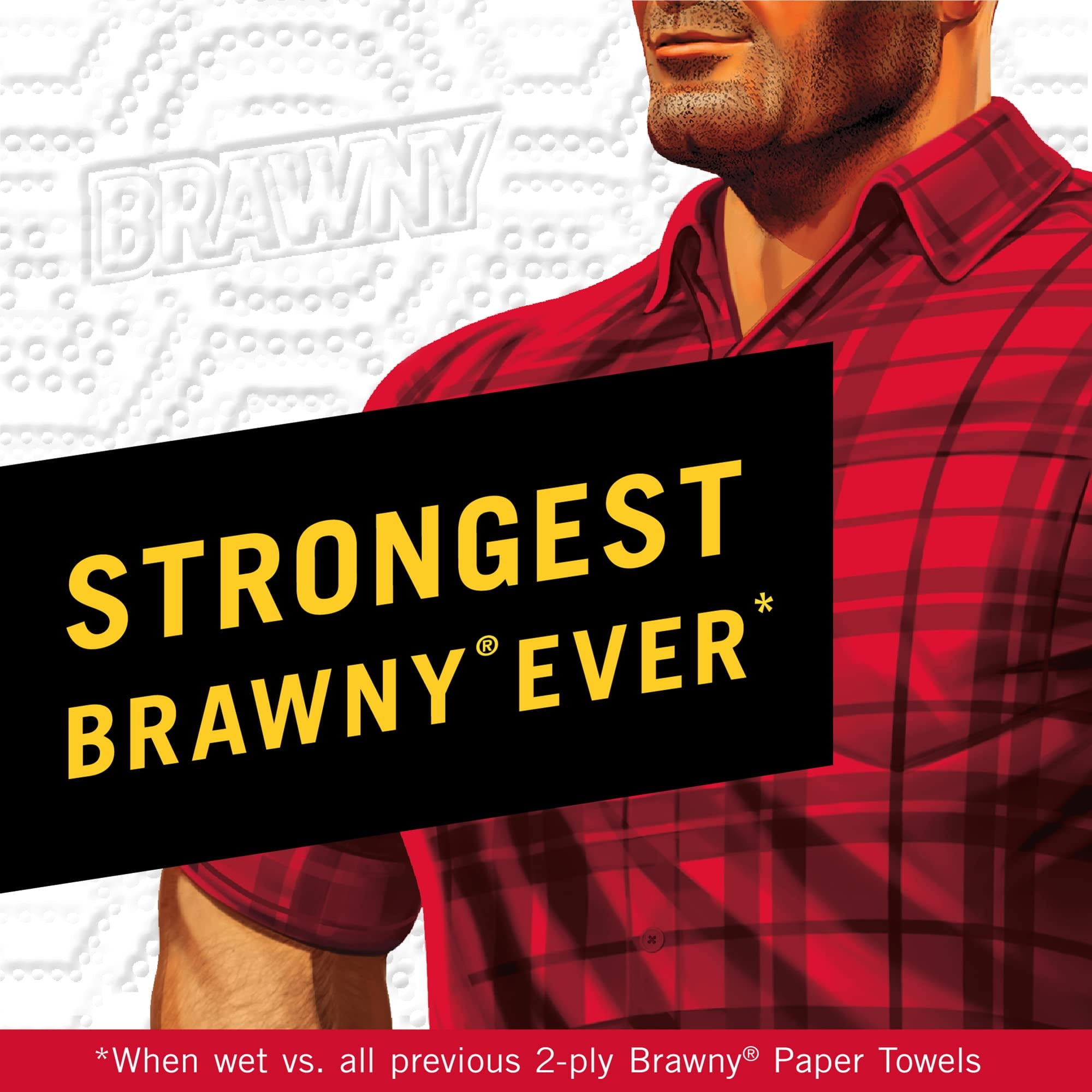 Brawny Tear-a-Square Paper Towels White 3 Sheet Sizes 6 Double Rolls (Pack of 2)