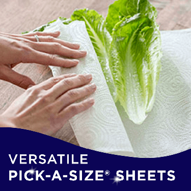 Sparkle Paper Towels, Pick-A-Size, Spirited Prints, 6 Double Rolls (= 12 Regular Rolls)