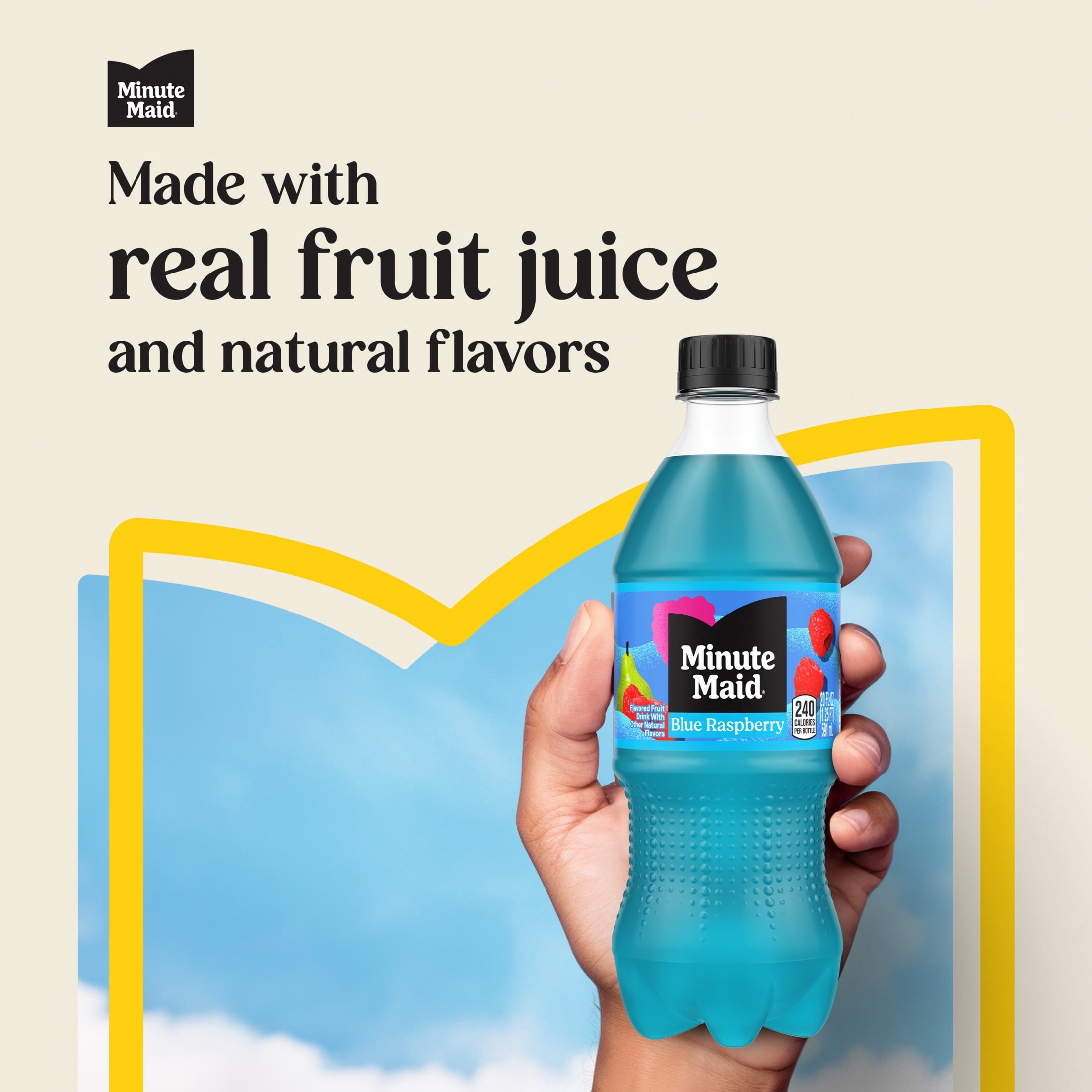 Minute Maid Blue Raspberry Juice Drink Bottle, 20 fl oz