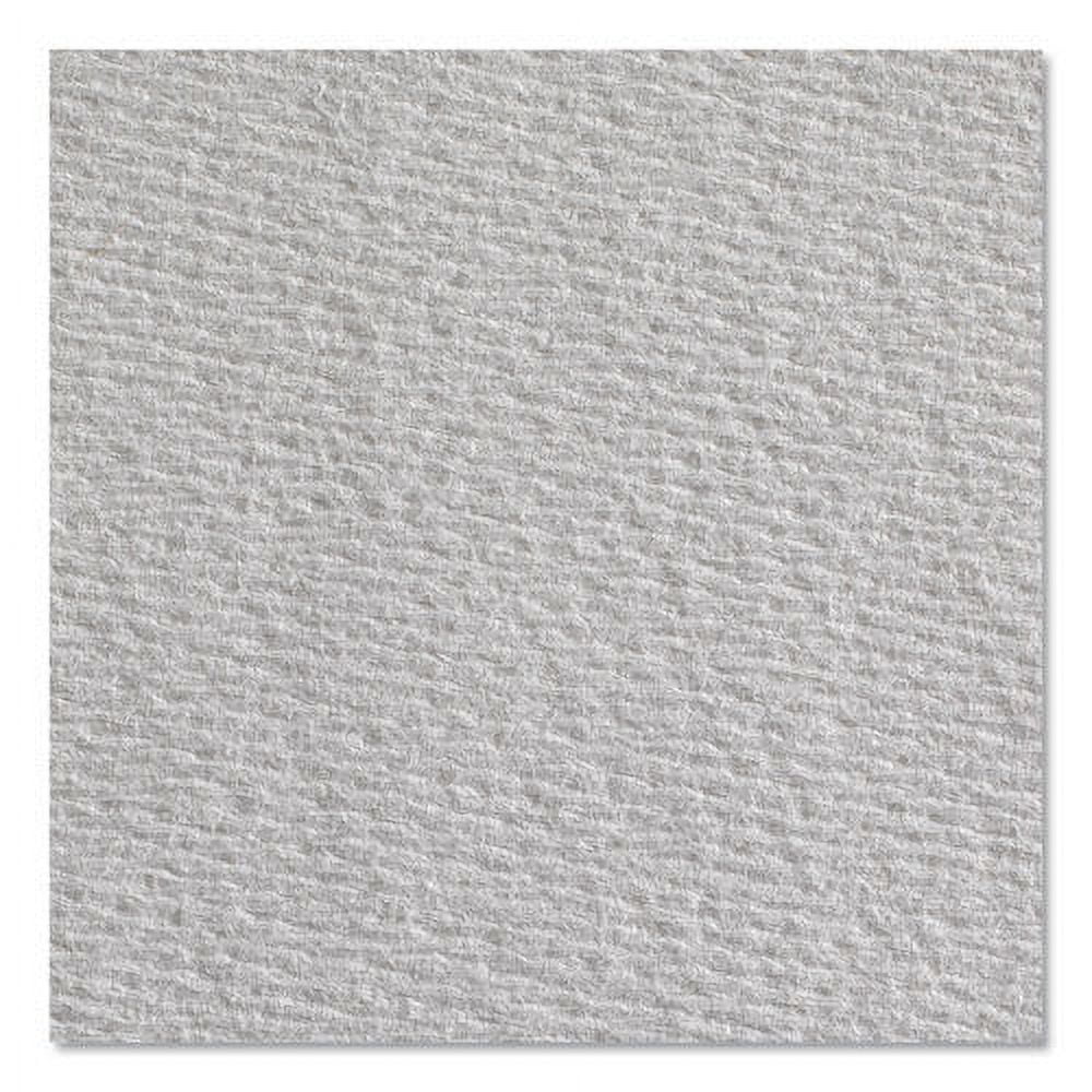 Brawny Medium Weight HEF Shop Towels, 9.1 x 16.5, 100/Box