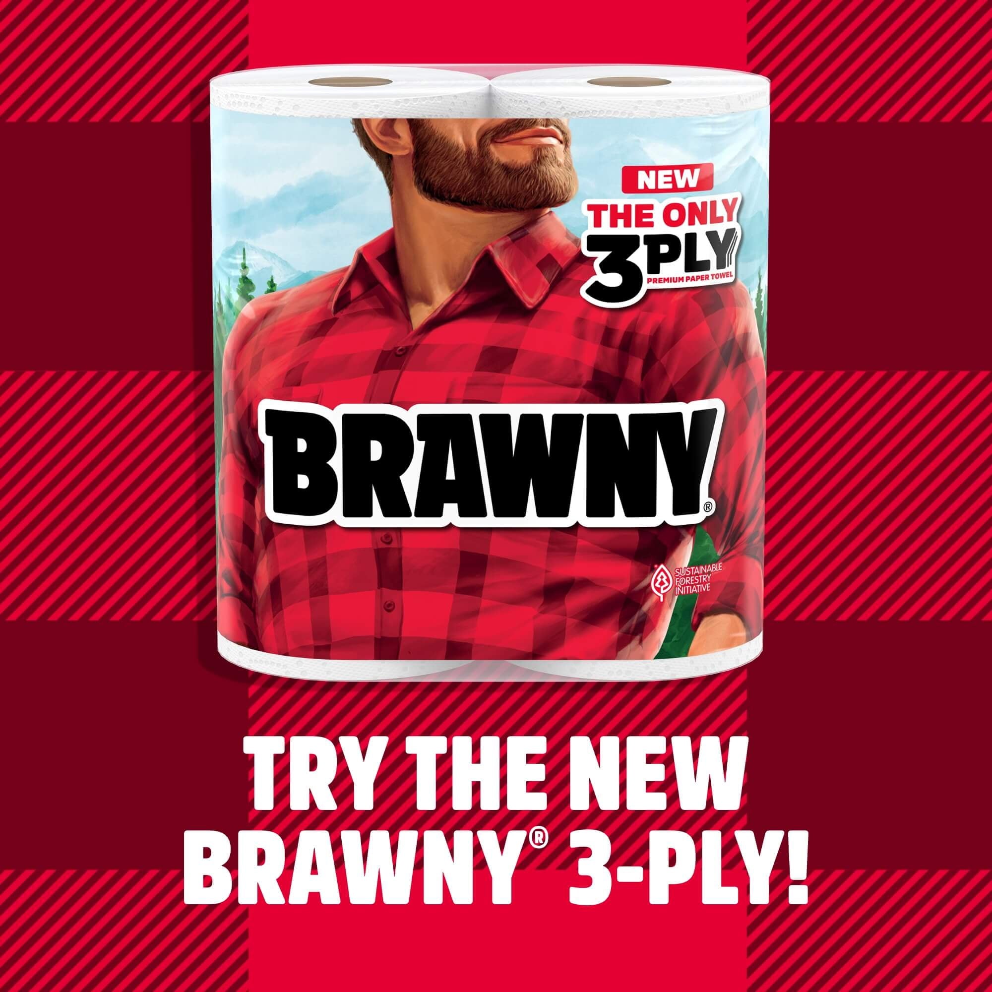 Brawny Tear-a-Square Paper Towels, 6 Double Rolls