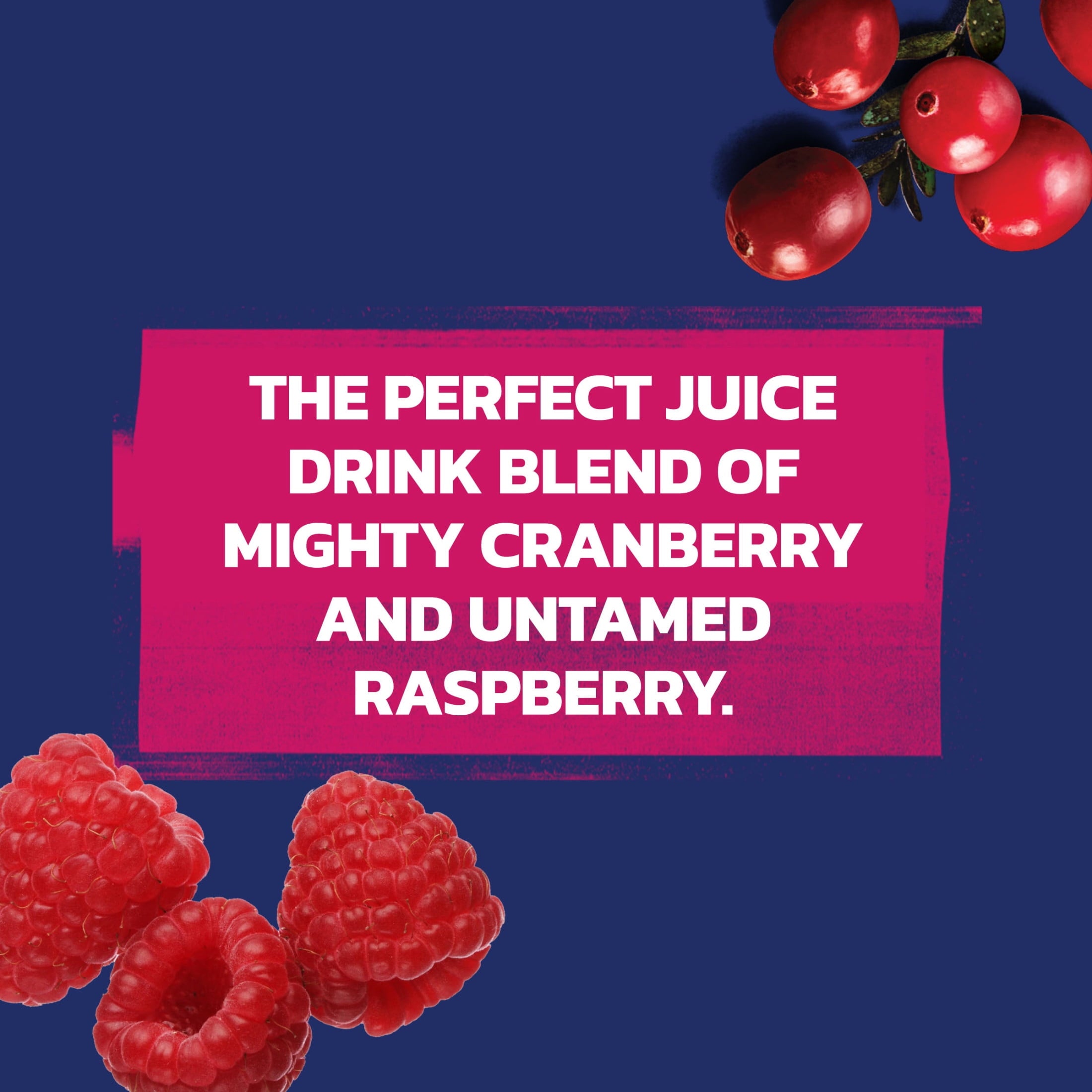 Ocean Spray® Cran-Raspberry® Cranberry Raspberry Juice Drink, 64 fl oz Bottle