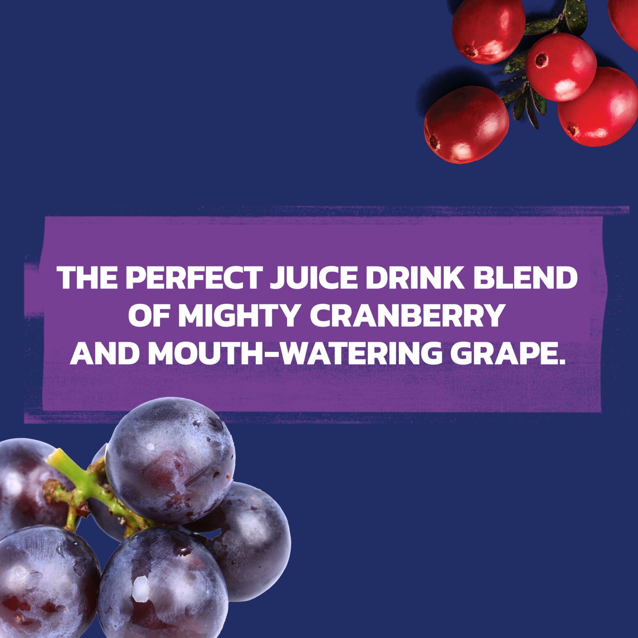 Ocean Spray® Cran-Grape® Cranberry Grape Juice Drinks, 10 fl oz Bottles, 6 Count