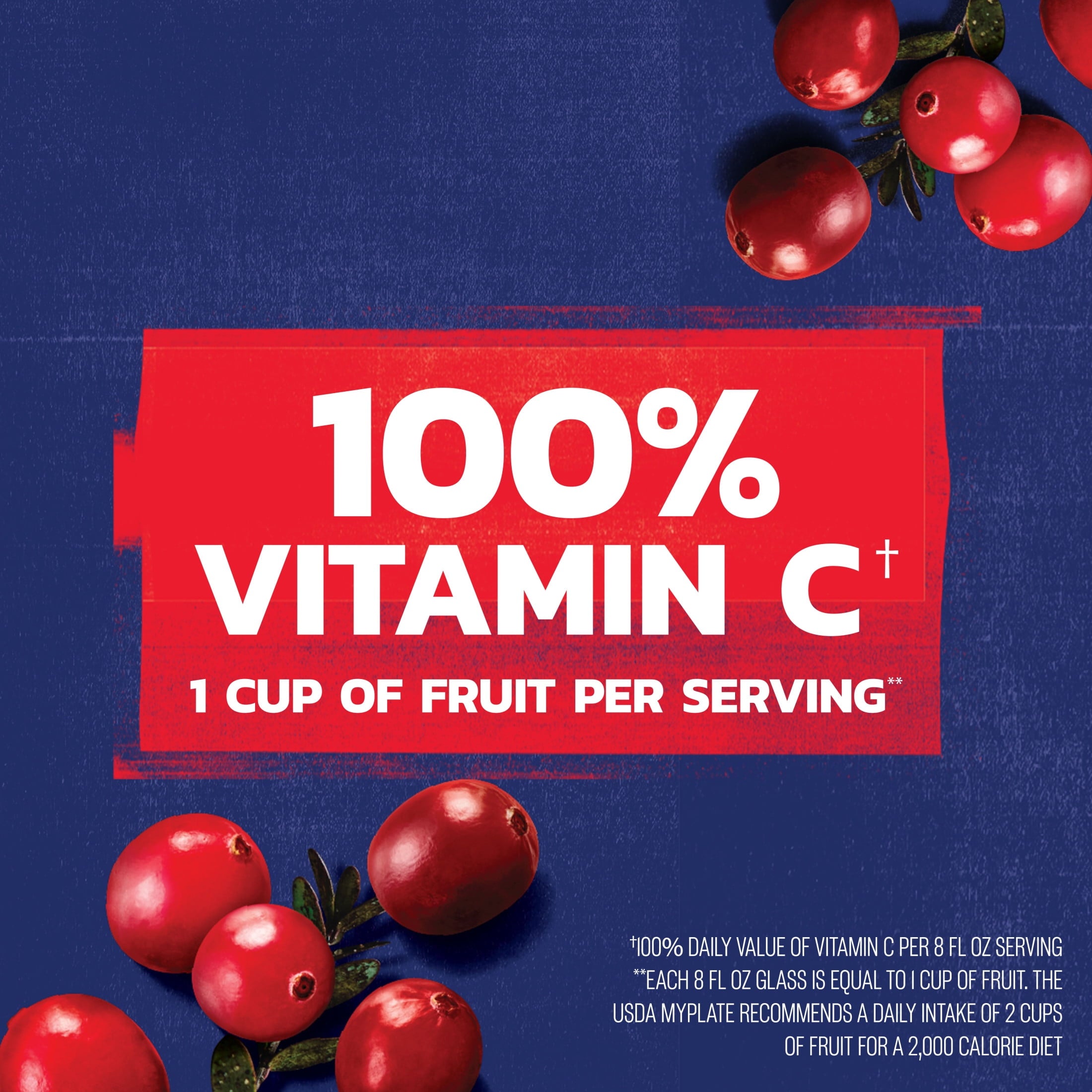 Ocean Spray® 100% Juice Cranberry Juice Blend, 64 fl oz Bottle