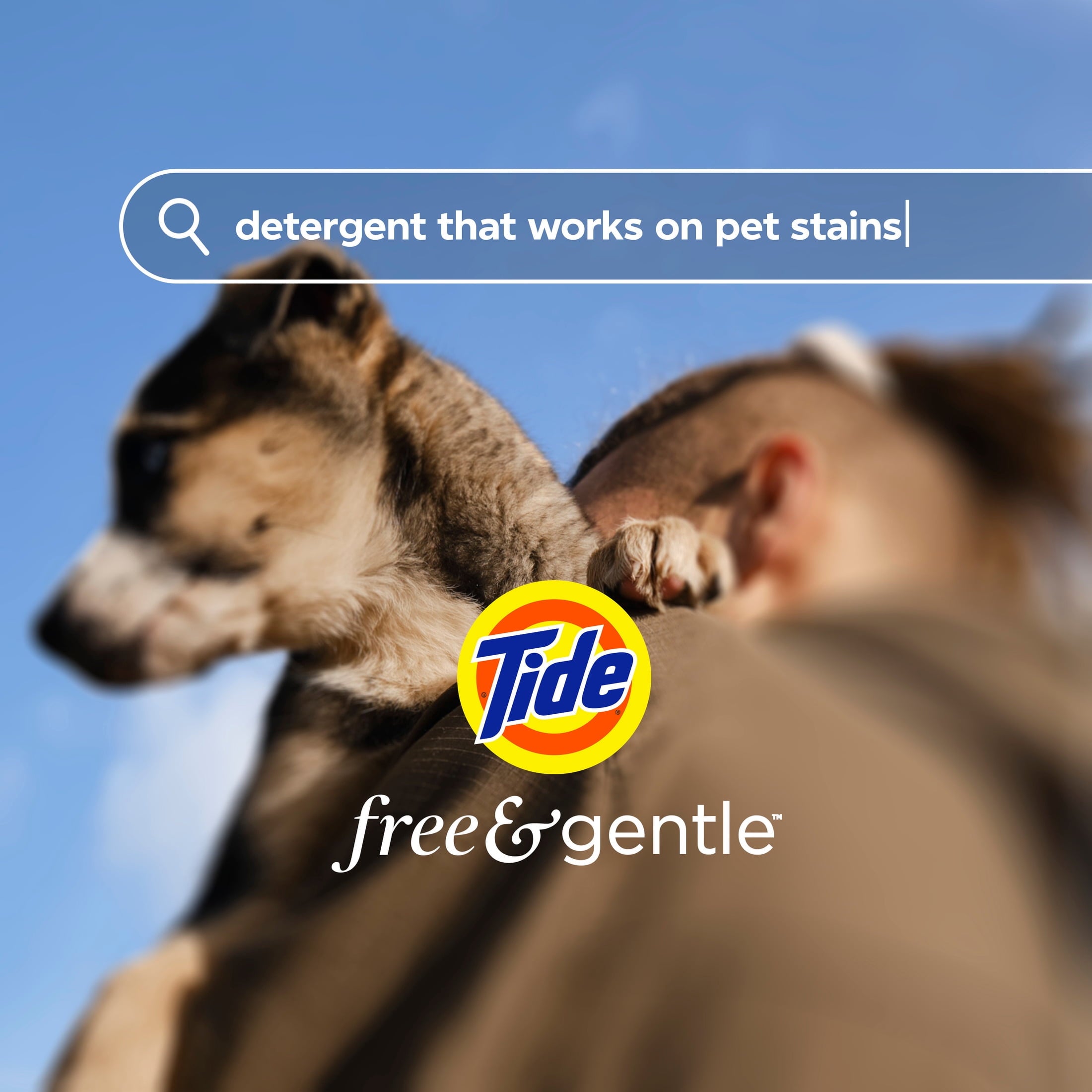 Tide PODS Free & Gentle laundry detergent, 102 ct, Trusted, gentle laundry detergent pods, 100% free of irritating residues: no added dyes and perfumes