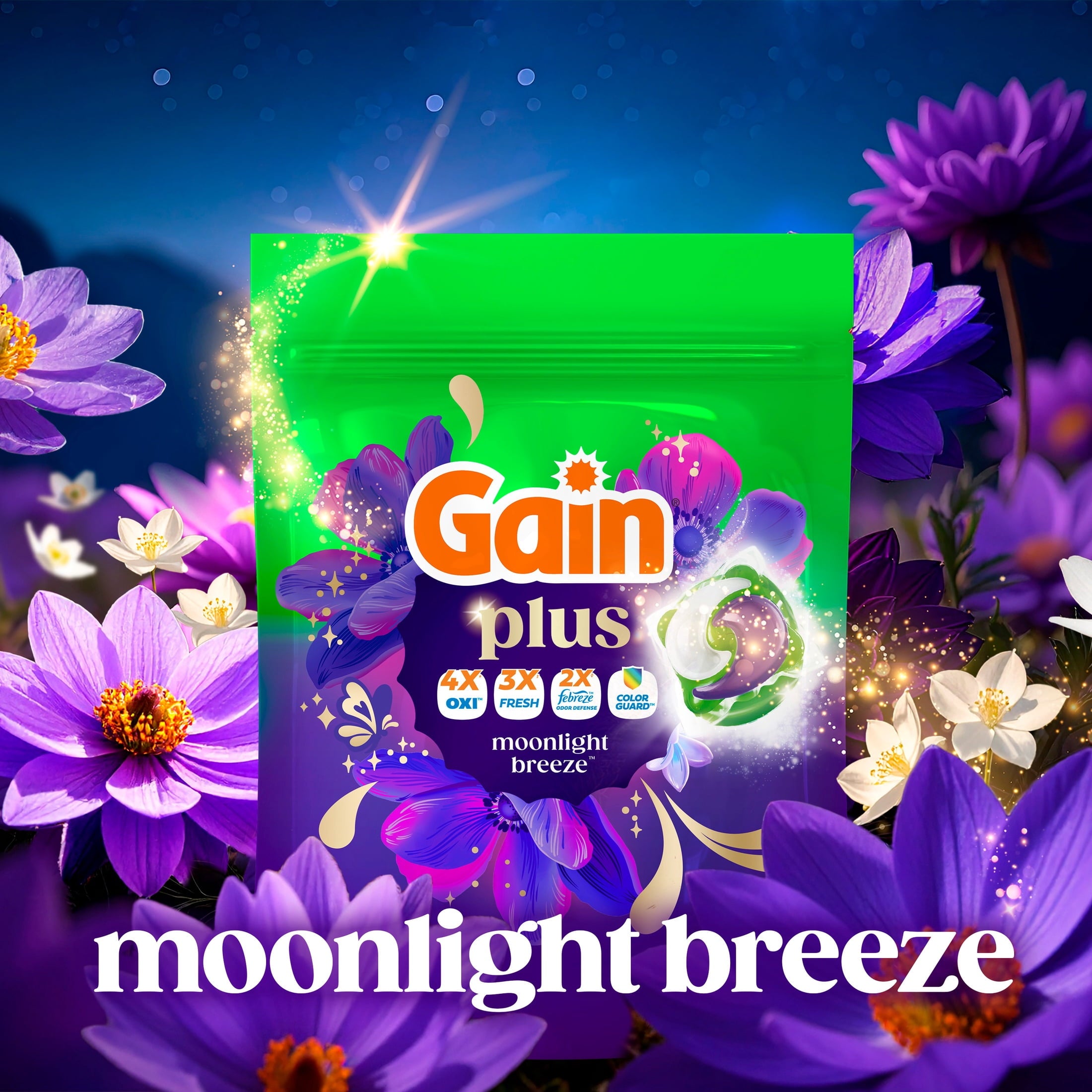 Gain Plus Flings Laundry Detergent Liquid Washing Pacs, Gain's Best All-In-One Clean, Moonlight Breeze Scent, 18 Count